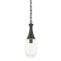 Hudson Valley 1 Light Pendant 3936-BBR